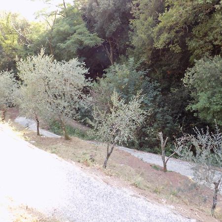 Fattoria Ceragioli Villa Camaiore Exterior photo