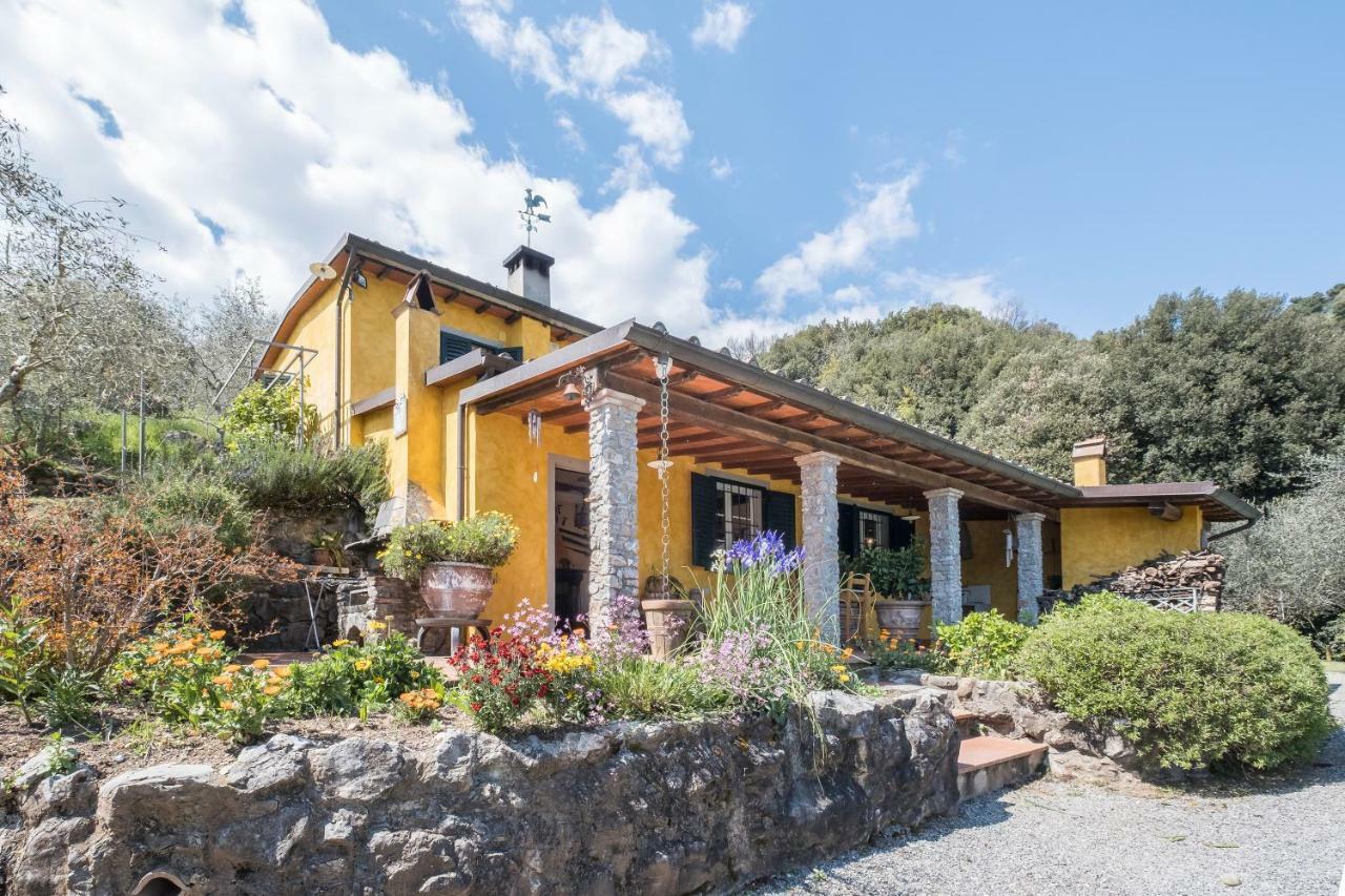 Fattoria Ceragioli Villa Camaiore Exterior photo