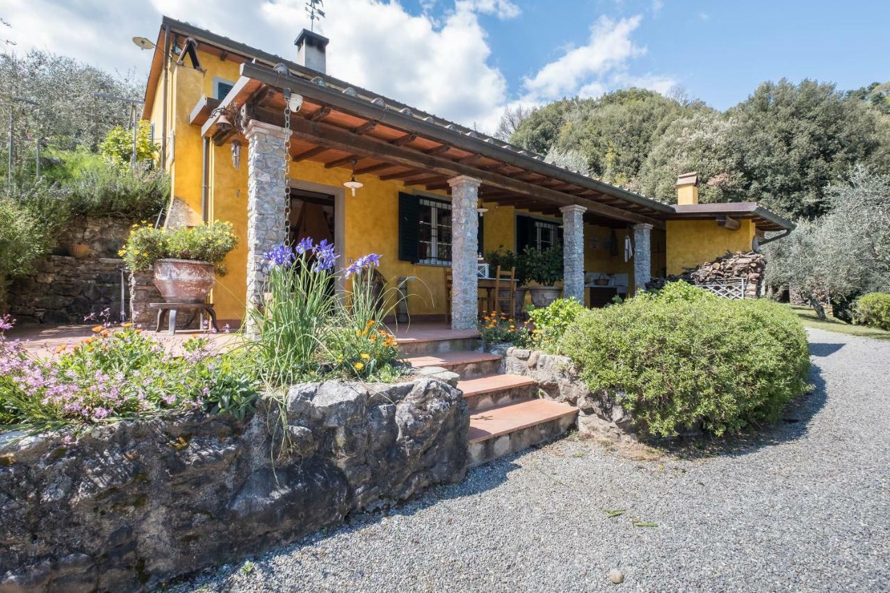 Fattoria Ceragioli Villa Camaiore Exterior photo